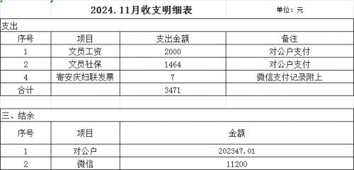 2024年11月收支明细